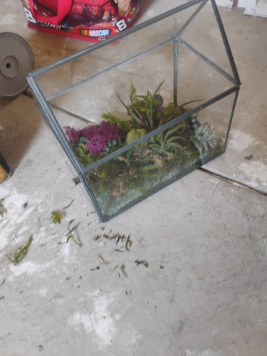 Aquarium