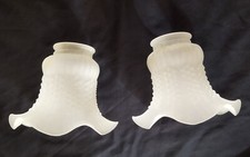 Deux tulipes en verre XX