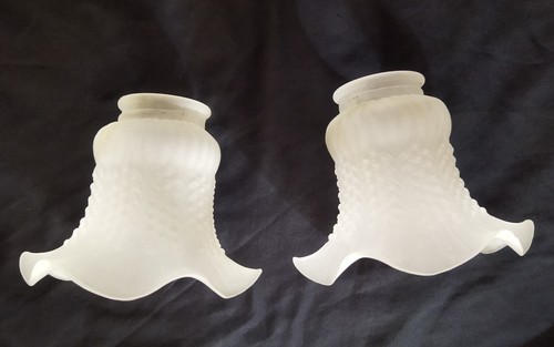 Deux tulipes verre xx - tulipes,