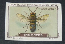 CHROMO PETER CAILLER KOHLER