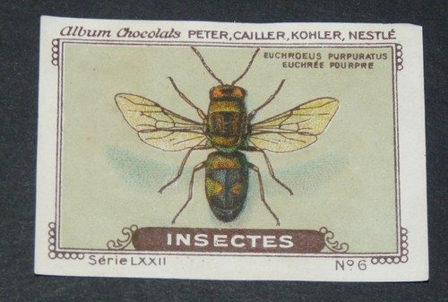 Chromo peter cailler - peter,