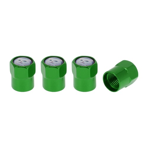 Embouts valve pneu 8x13mm - 4,