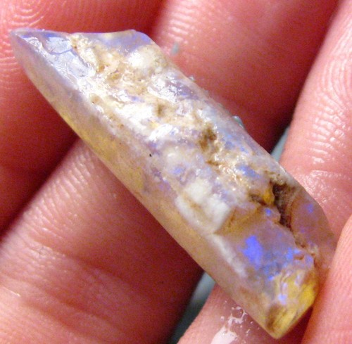 Fossile pipe belemnite - o&co,