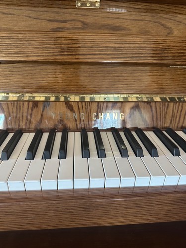 Young chang upright piano - young,