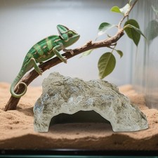 Abri pour reptiles en PVC, accessoire pour aquarium de et