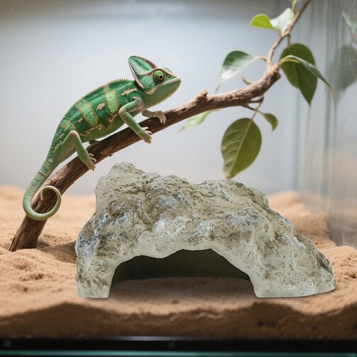 Abri pour reptiles - , pvc