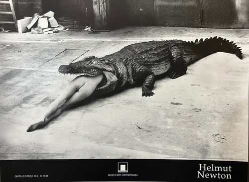 Crocodile eating ballerina - eating, by