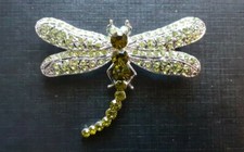 Broche libellule insecte