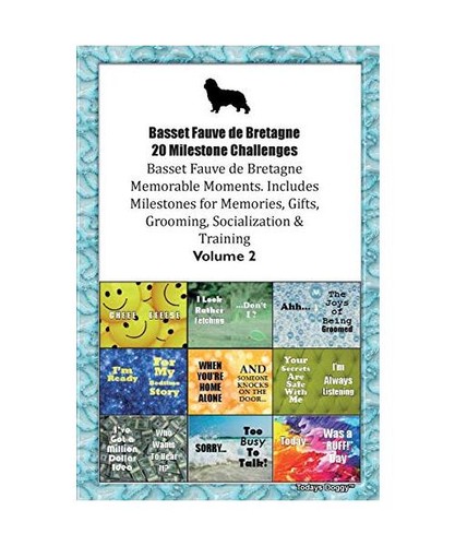 Basset fauve bretagne - basset,