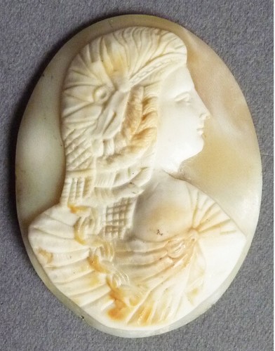 Superbe camée sur coquille