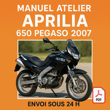 Manuel Atelier Aprilia 650
