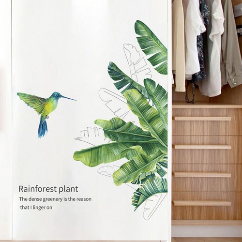 Stickers muraux colibri - muraux,