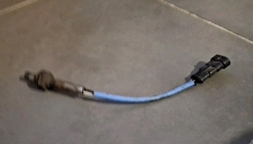 Oem 7700856629 sonde - , lambda