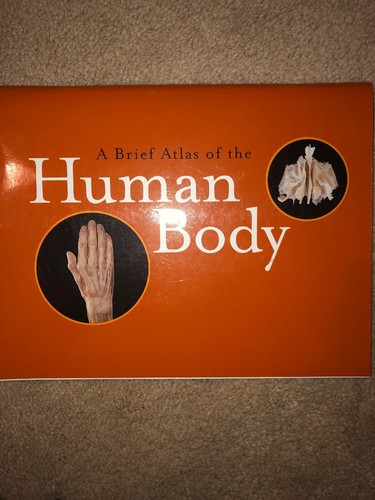 Human anatomy and - human,