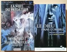 La nuit du prédateur - Le dieu dans l'ombre - Megan Lindholm (Robin Hobb) Mnémos