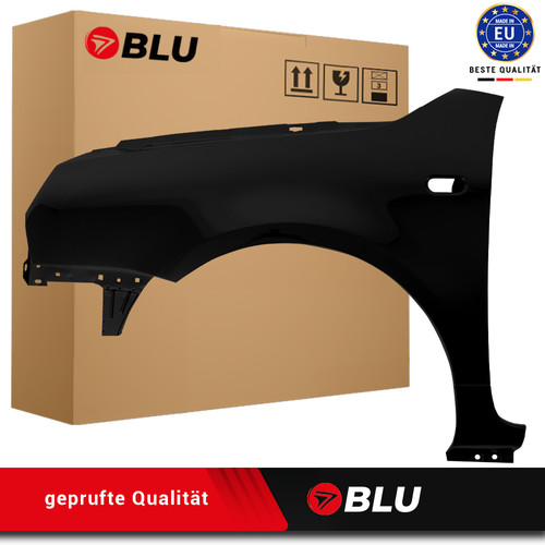 Fender for lupo - fender,