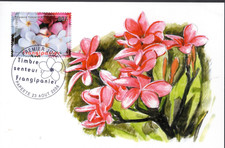 775-  POLYNESIE CARTE    1er JOUR     TIMBRE SENTEUR  FRANGIPANIER