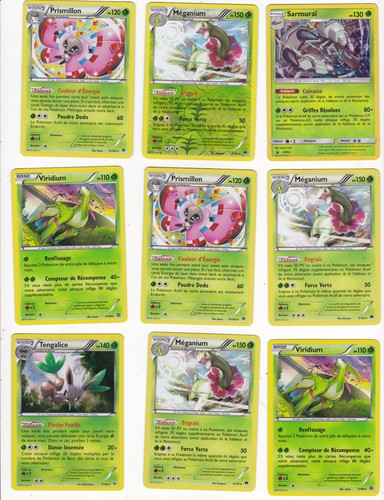 Lot cartes pokemon plante - cartes,
