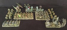 Warhammer TOW Armée comtes vampires prete à jouer