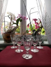 6 verres à eau  en cristal saint louis modèle caton signés H 14 cm