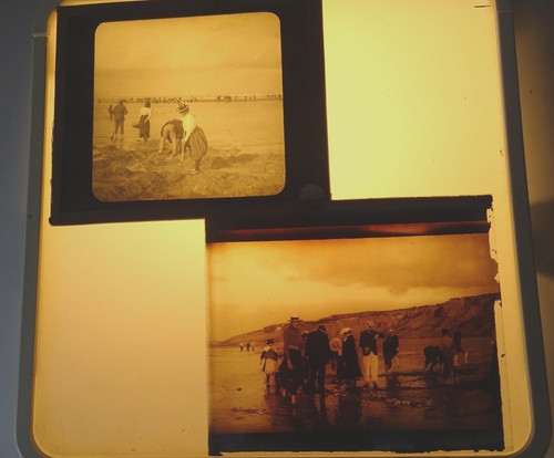 Négatifs sur verre - sur, 8,5