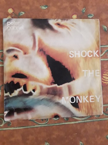 Peter gabriel shock the - peter,