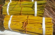 Boutures osier de 2 - d'osier,