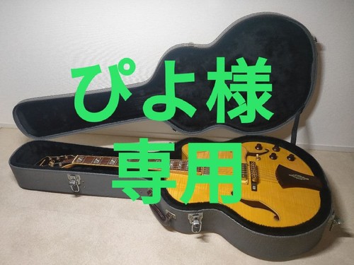 Ibanez artcore full aco - artcore,