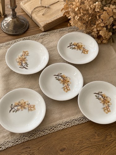 Assiettes creuses calottes - 5,