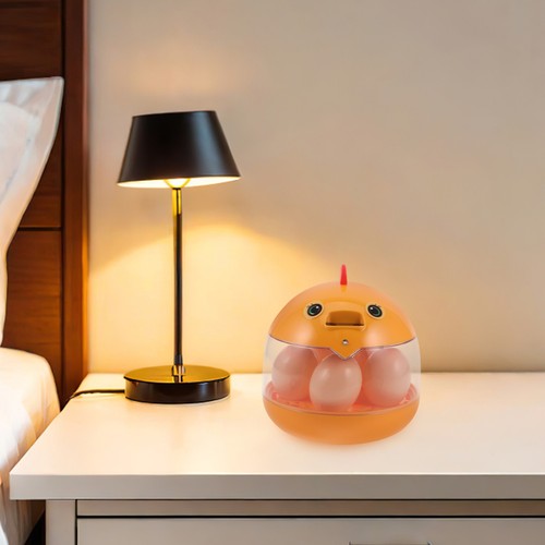 Mini incubateur oeufs - , d'oeufs
