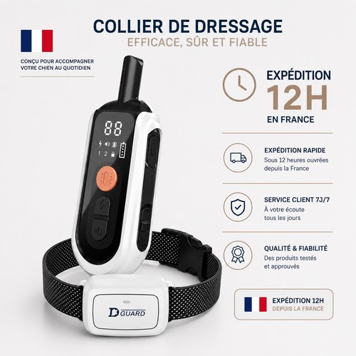 Collier de dressage - **✅,