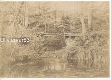 Antique albumen print photo 6x4 - pond in forest with wood bridge - nature
