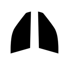 Pré Coupe Vitre Teintée Voiture pour Honda Legend 4-door Saloon 1996-04 Avant