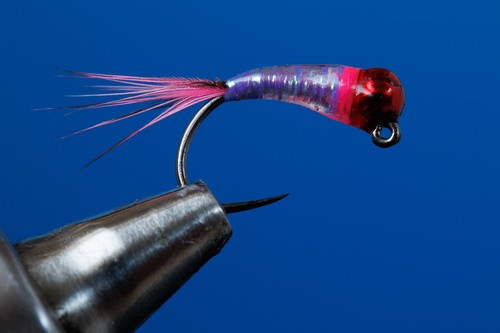 Fliegentom piéces perdigon - fliegentom, 3