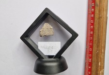 Grand Morceau D'Oeuf De