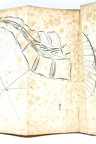 Livre ancien rupture périnée - rupture,