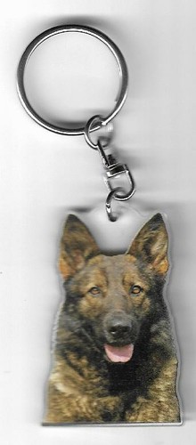 Berger hollandais chien porte - berger,
