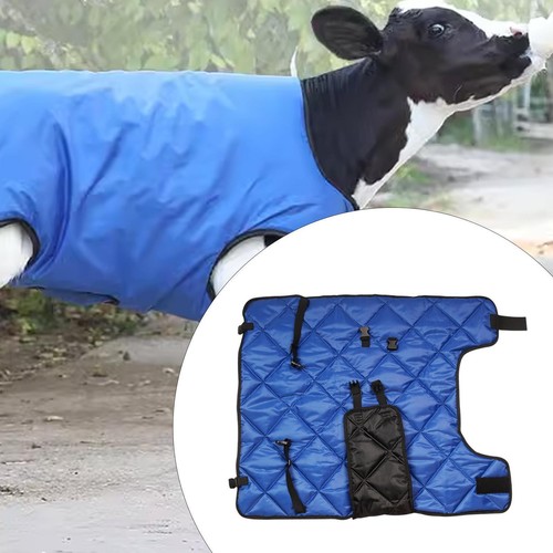 Gilet protection pour veaux - protection,