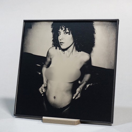 Original nude ambrotype - original,
