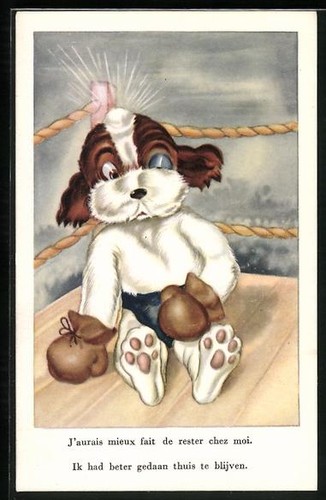 Carte postale chien avec gants