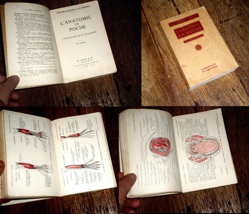 Anatomie poche 1939 - en,