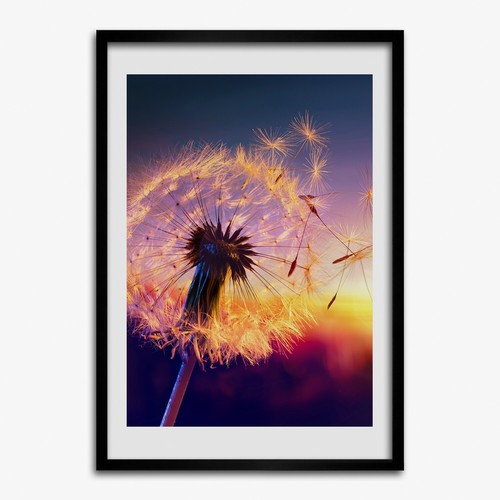 Photo 50x70cm cadre décor - 50x70cm,