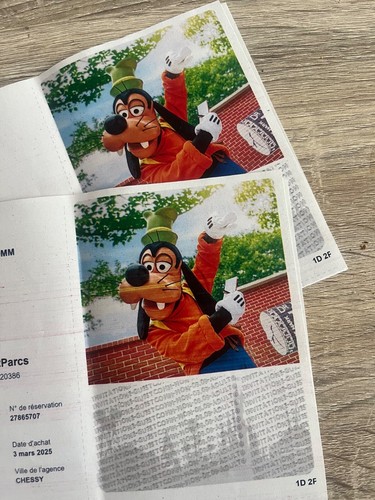 Billets disneyland paris - billets,