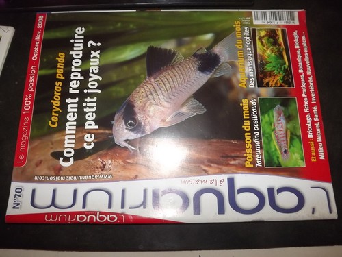 0104 aquarium 70 - 0104, l'aquarium
