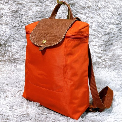 Excellent condition longchamp - excellent,