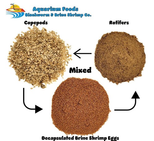 Coral food blend rotifers - coral,