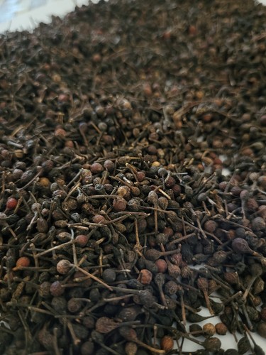 1kg poivre sauvage - 1kg,