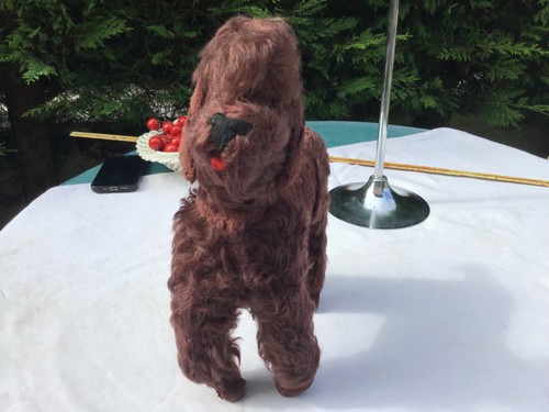 1948 ancien peluche caniche