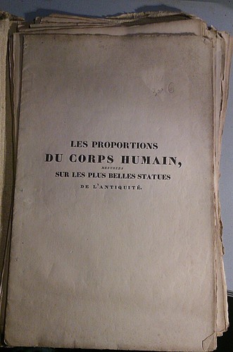 Rinmon les proportions - les, du