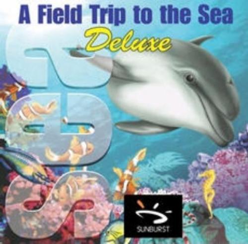 Field trip the sea - the,